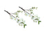Artificial Single Stem Cherry Blossom 49cm -White - Set of 2 Bunch