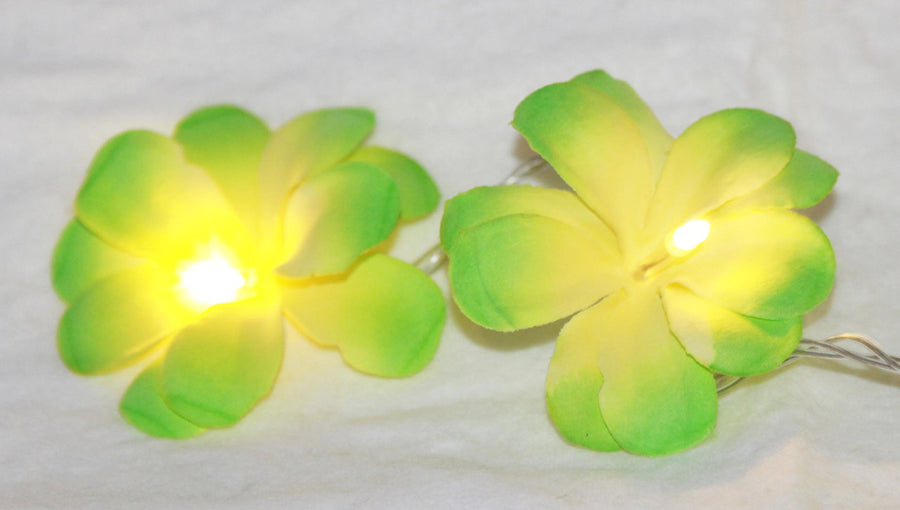 1 Set of 20 LED Green Frangipani Flower Battery String Lights Christmas Gift Home Wedding Party Decoration Outdoor Table