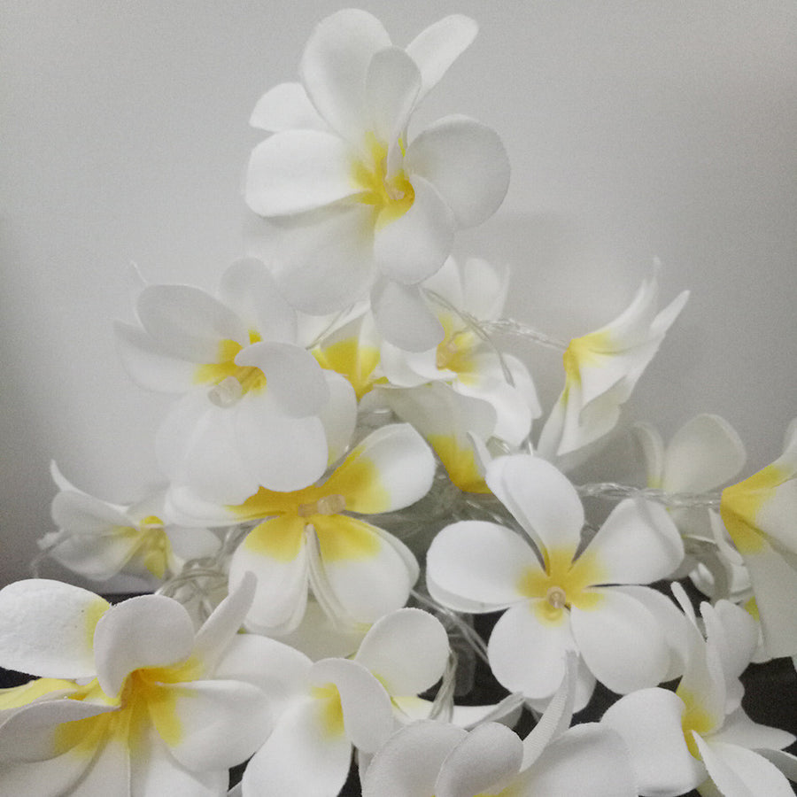 1 Set of 20 LED White Frangipani Flower Battery String Lights Christmas Gift Home Wedding Beach Party Decoration Outdoor
