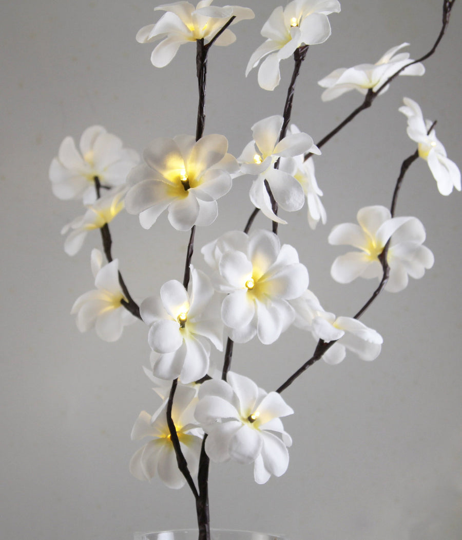 1 Set of 50cm H 20 LED White Frangipani Tree Branch Stem Fairy Light Wedding Event Party Function Table Vase Centrepiece