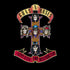 Guns & Roses Appetite For Destruction - Vinyl Album