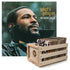 Crosley Record Storage Crate & Marvin Gaye What&