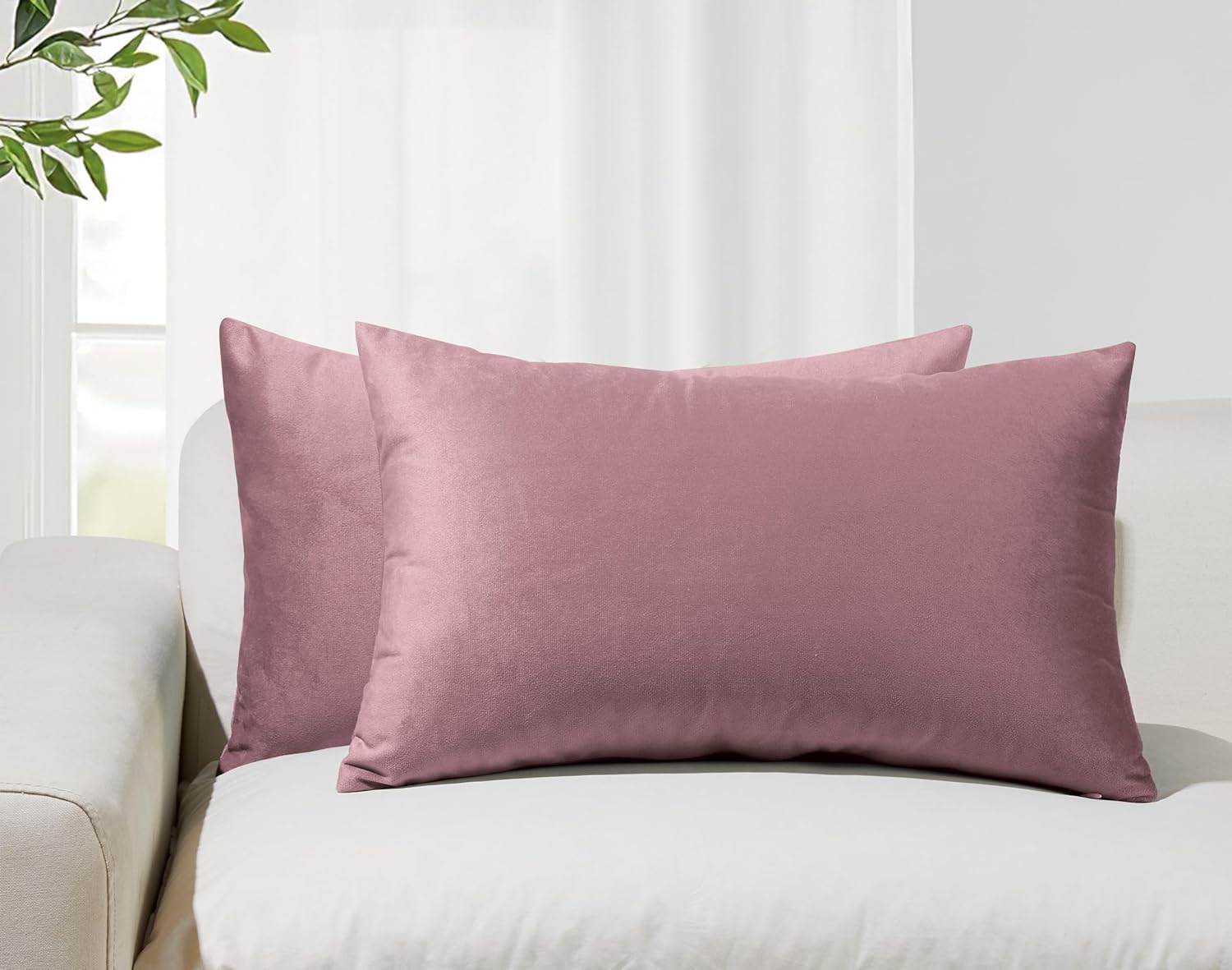 Twin-Pack Velvet Cushion Covers - Soft Microfibre Cushion Covers with Hidden Zipper (Blush, 30cm*50cm)