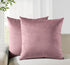 Twin-Pack Velvet Cushion Covers - Soft Microfibre Cushion Covers with Hidden Zipper (Blush, 65cm*65cm)