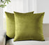 Twin-Pack Velvet Cushion Covers - Soft Microfibre Cushion Covers with Hidden Zipper (Green, 65cm*65cm)