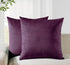 Twin-Pack Velvet Cushion Covers - Soft Microfibre Cushion Covers with Hidden Zipper (Plum, 65cm*65cm)