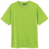 Adult 100% Cotton T-Shirt Unisex Men&