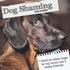 Dog Shaming - 2024 Square Wall Calendar Pets Animals 16 Months Premium Planner