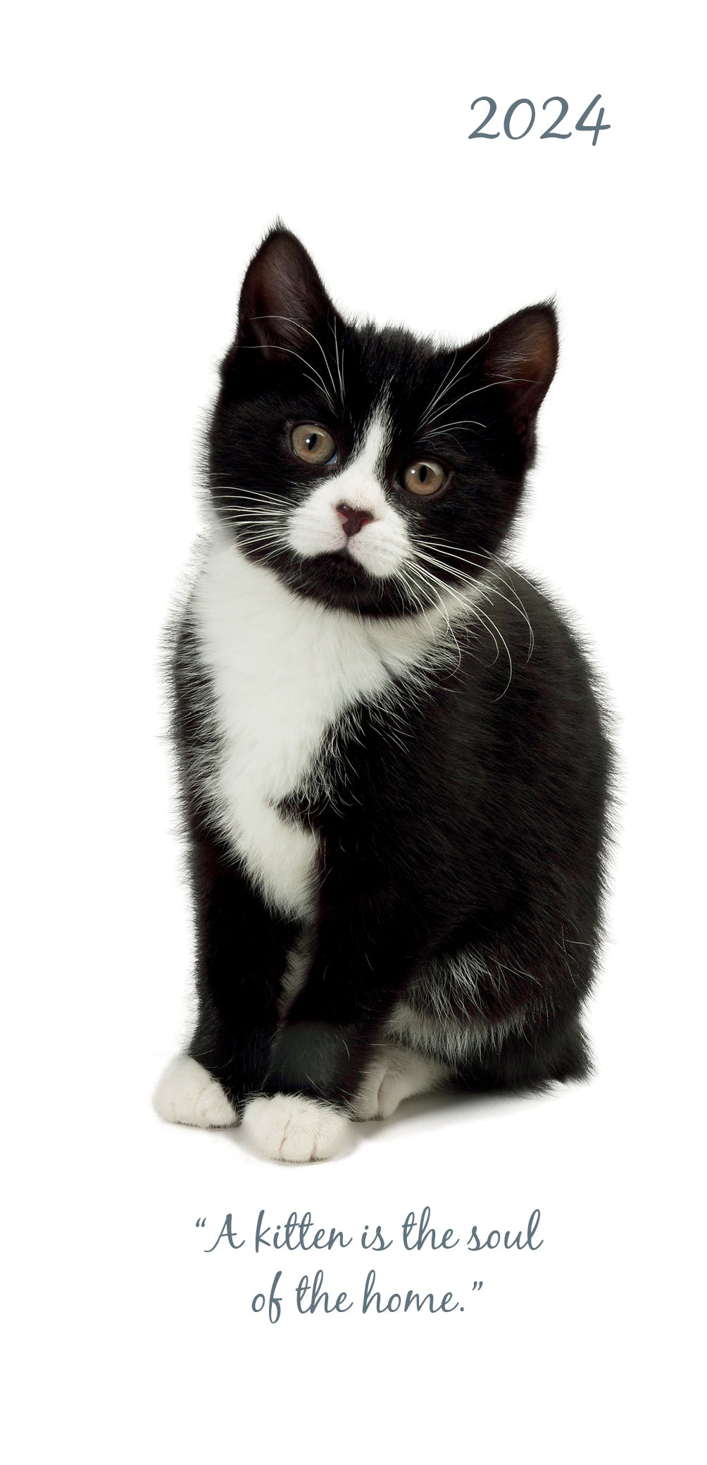 Cute Kittens - 2024 Flexi Pocket Diary Premium Planner Christmas New Year Gift