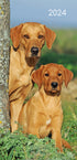 Dogs & Puppies - 2024 Flexi Pocket Diary Premium Planner Christmas New Year Gift
