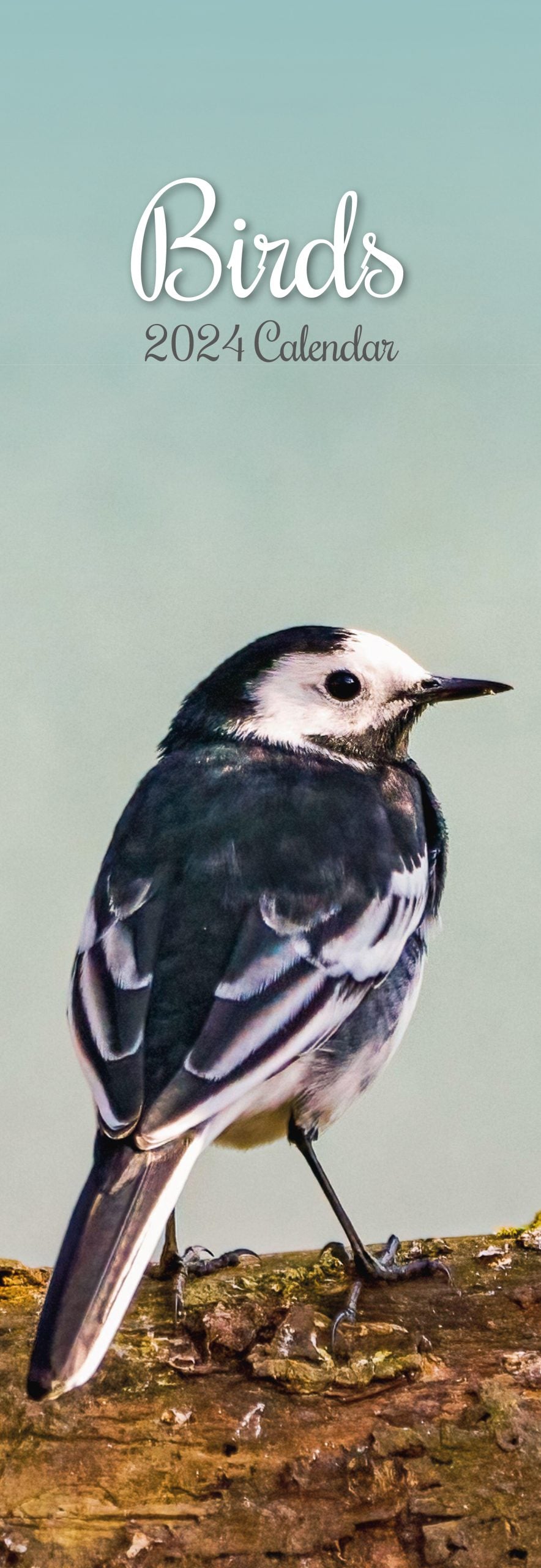 Birds - 2024 Slimline Slim Wall Calendar Hanging Planner New Year Gift