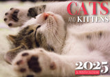 Cats And Kittens - 2025 Rectangle Wall Calendar 16 Months Hanging Animal Planner