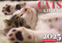 Cats And Kittens - 2025 Rectangle Wall Calendar 16 Months Hanging Animal Planner