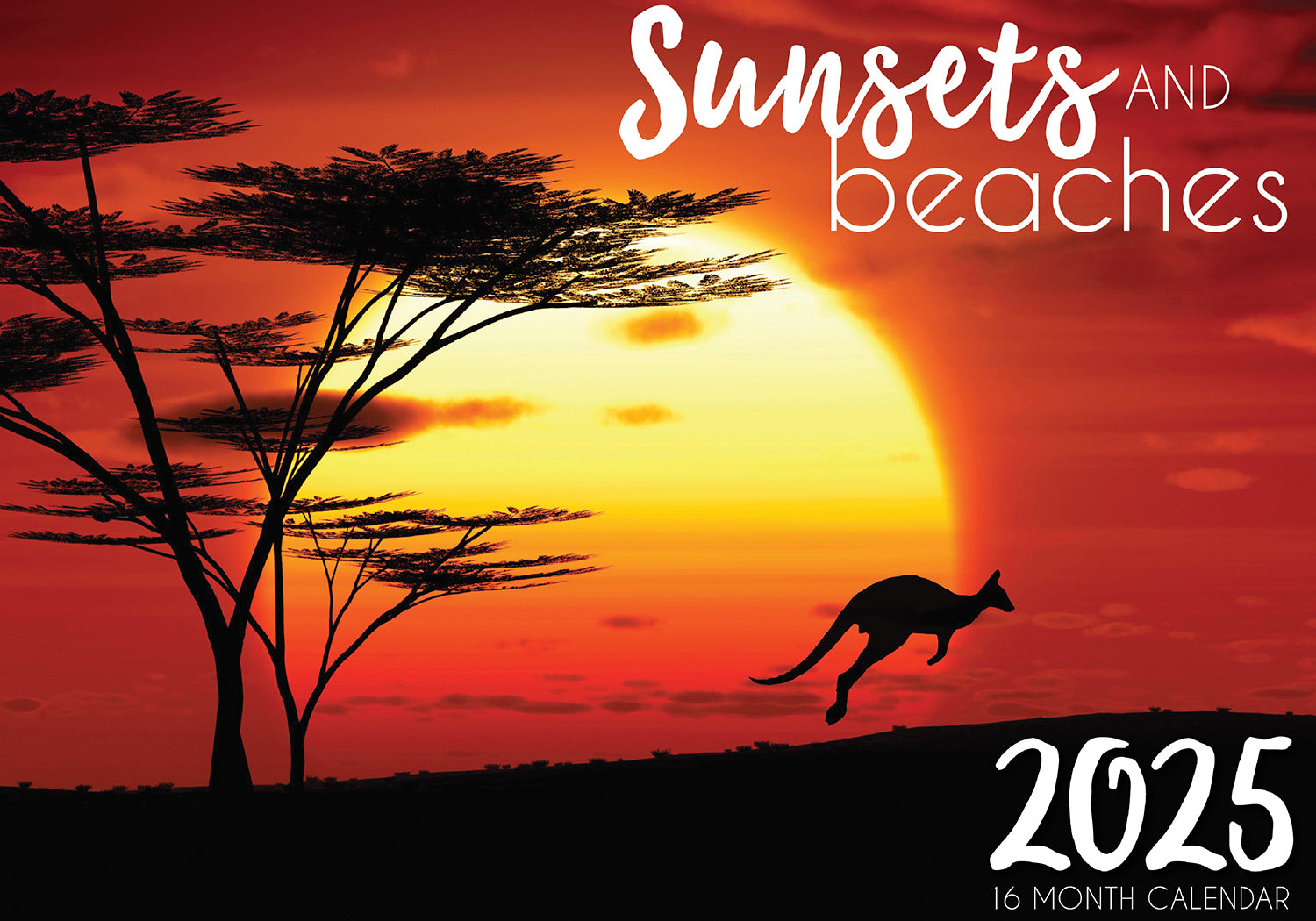 Sunset & Beaches - 2025 Rectangle Wall Calendar 16 Months Hanging Planner Gift