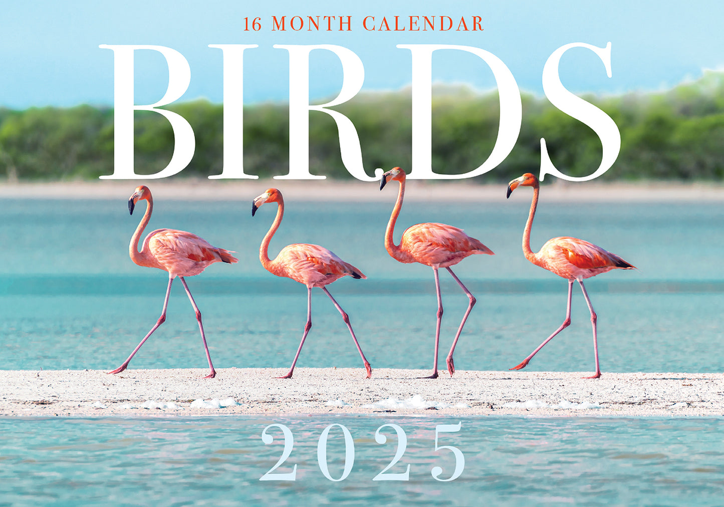 Birds - 2025 Rectangle Wall Calendar 16 Months Hanging Animal Planner New Year