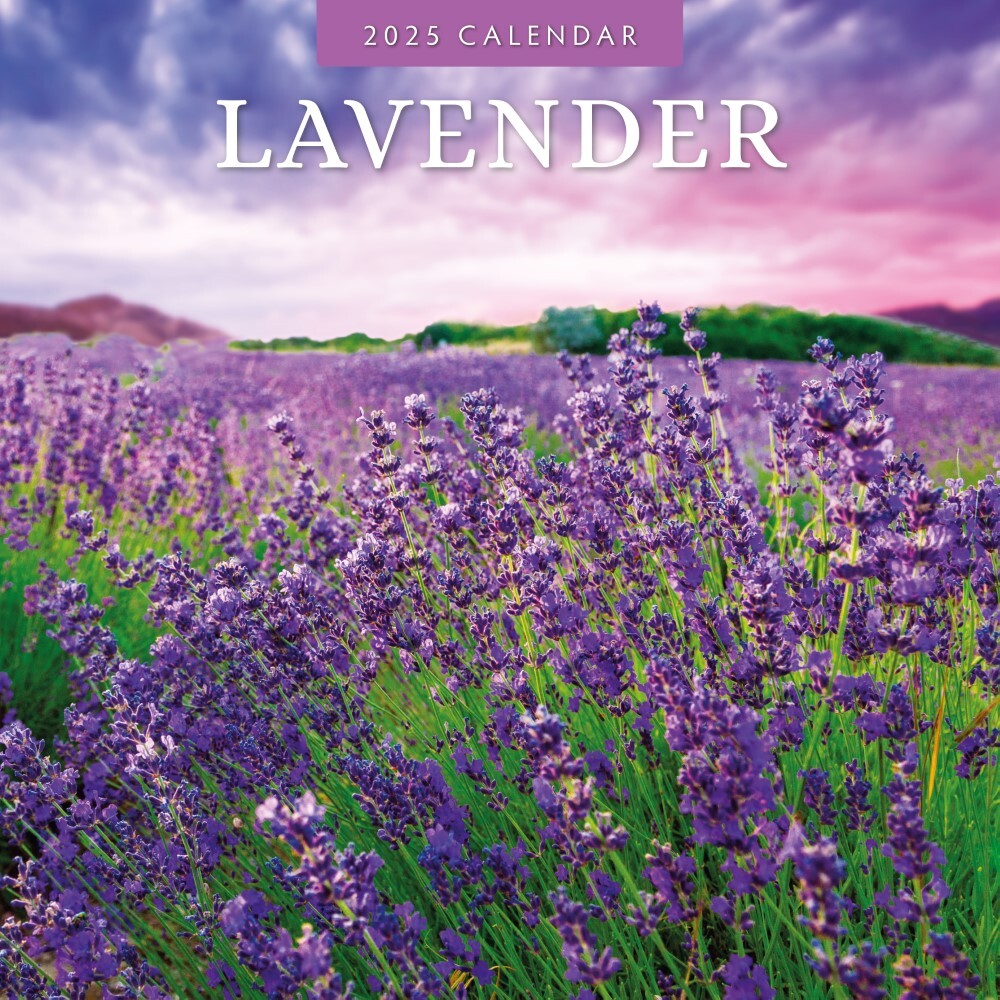 Lavender - 2025 Square Wall Calendar Floral 16 Months Premium New Year Planner