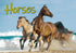 Horses - 2025 Rectangle Wall Calendar 16 Months Animal Planner New Year Gift