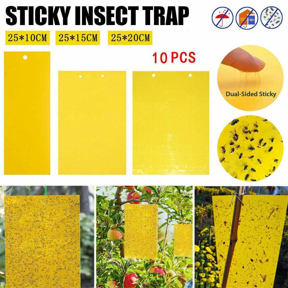 10PCS Yellow Sticky Paper Insect Trap Catcher Killer Fly Aphids Wasp - 25x10cm