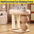 Cat Climbing Frame Bed Multi Functional Stand Cat Tree Condo Furniture for Cats