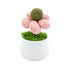 Catnip Ball Cat Chew Toy Cute Flower Pot Shaped Interactive Play Teeth Cleaning - Pink