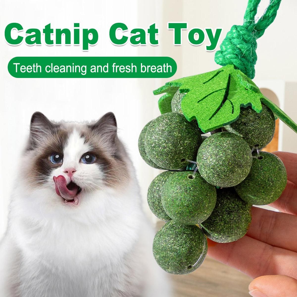 Catnip Toys Mint Ball Teeth Grinding Cleaning Teasing Toy for Cats Oral Health