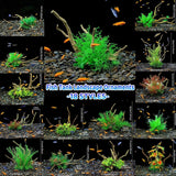 Aquarium Landscaping Decoration Artificial Wood and Plants Fish Tank Ornament - CM2402-Green