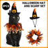 Halloween Cat Costume Skull Pattern Hat and Scarf Set Pet Cape Accessories