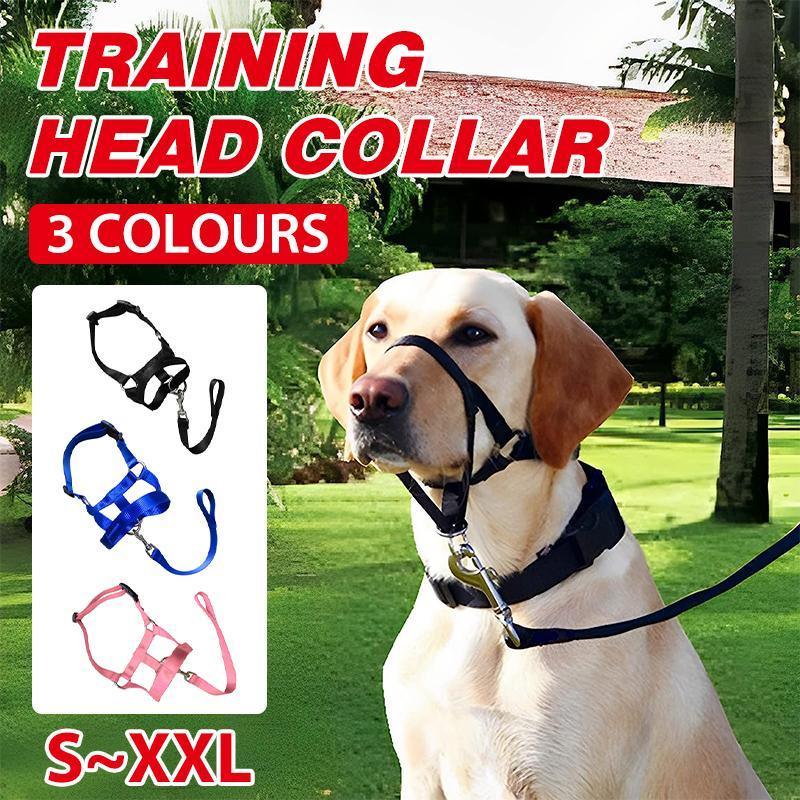 Pink Dog Training Head Collar Halter Stop Pulling Training Tool Harness Strap Leader - XXL