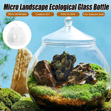 Mini Micro Landscape Eco Glass Bottle Terrarium Desktop Garden Made Nature Gift