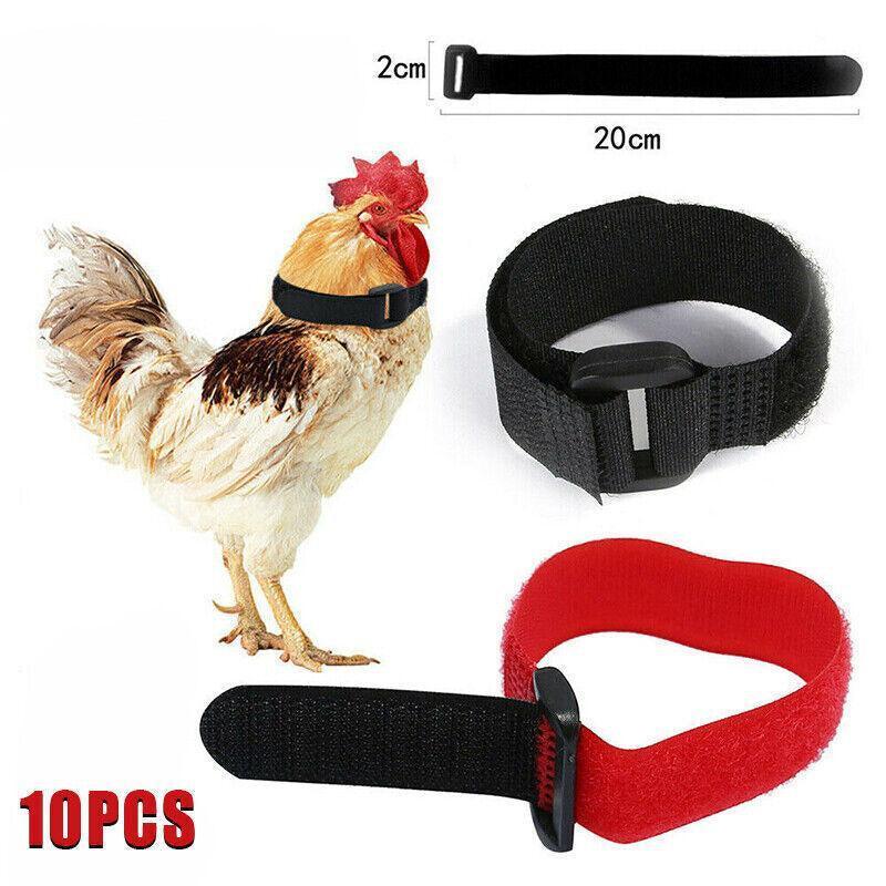 10pcs Rooster Anti Crow Collar Adjustable Nylon Neck Belt Poultry Sound Control - Black