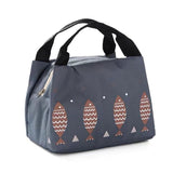 Portable Insulated Thermal Lunch Box Carry Tote Picnic Case Storage Bag 21x17x15cm - B02 (21x17x15cm)