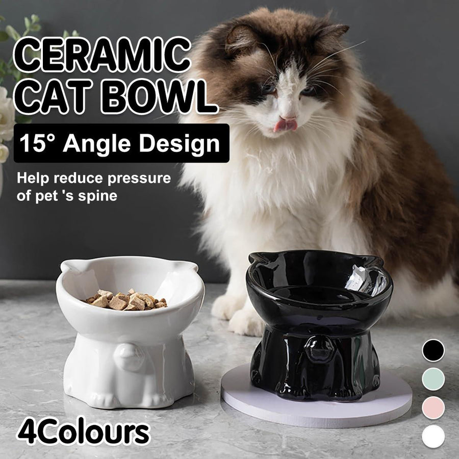 Ceramic Cat Bowl Cute Tall Raised Cat Food Bowl for Pets Eating Comfortably - White