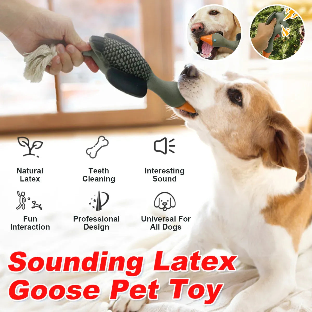 Pet Dog Chew Toy Interactive Sound Making Molar Training Toy Teeth Cleaning Play