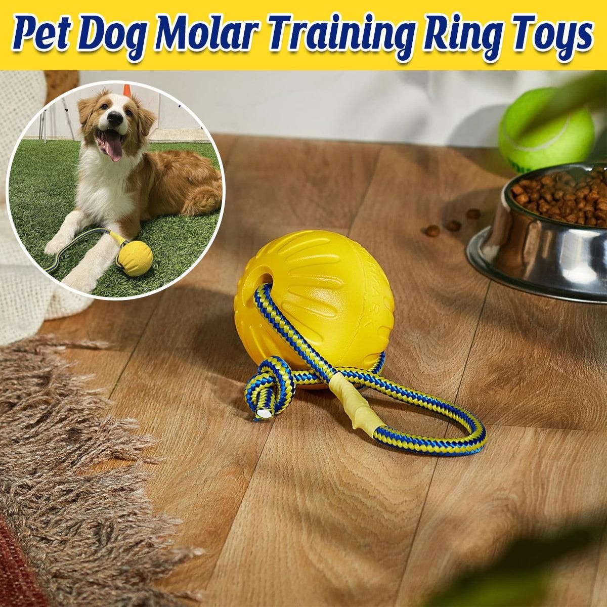 Pet Toys Dog Teething Training Toy Round Pull Ring Chew Ball Durable Play