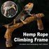 Fun Rope Climbing Frame for Pet Tank Landscaping Breeding Tank Decoration