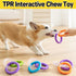 Interactive Dog Toys TRP Rubber Ring Teething Pet Rally Ring Chew Play Fetch - Orange-Purple