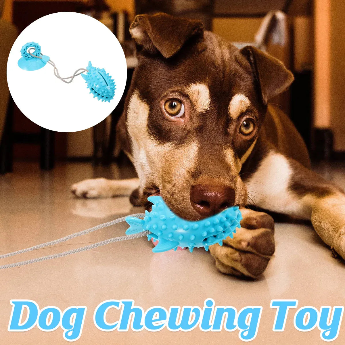 Dog Chew Toys Durable Non Toxic TPR Material for Dogs Puppies Teething Training