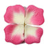 1000 PCS Silk Rose Petals Elegant Wedding or Event Decoration - Pink White