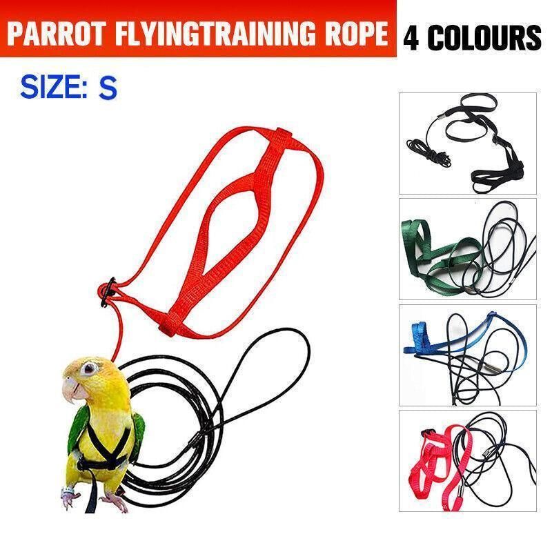 S Pet Parrot Bird Harness Lead Leash Flying Training Rope Cockatiel Outdoor - Red