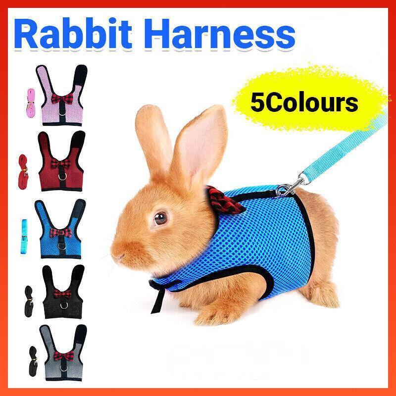 Rabbit Vest Harness Leash Lead Small Animal Pet Mesh Hamster Bunny Traction Rope L - Grey