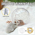 Hamster Running Ball Wheel Exercise Roller Toy Supplies Outside Cage Activity