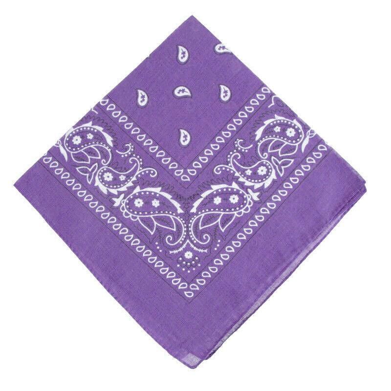 Paisley Bandana Scarf Head Wrap Face Neck Cover Summer Outdoor Fishing Headwear - Light Purple