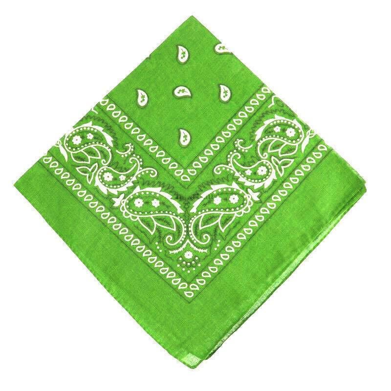 Paisley Bandana Scarf Head Wrap Face Neck Cover Summer Outdoor Fishing Headwear - Green