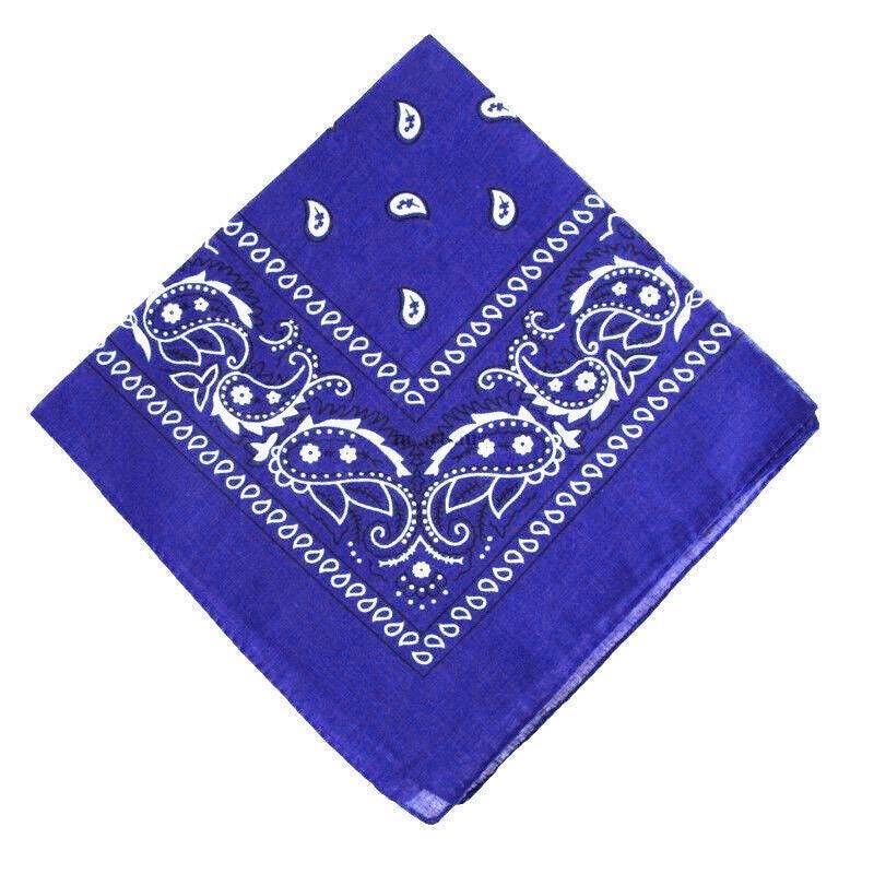 Paisley Bandana Scarf Head Wrap Face Neck Cover Summer Outdoor Fishing Headwear - Borland