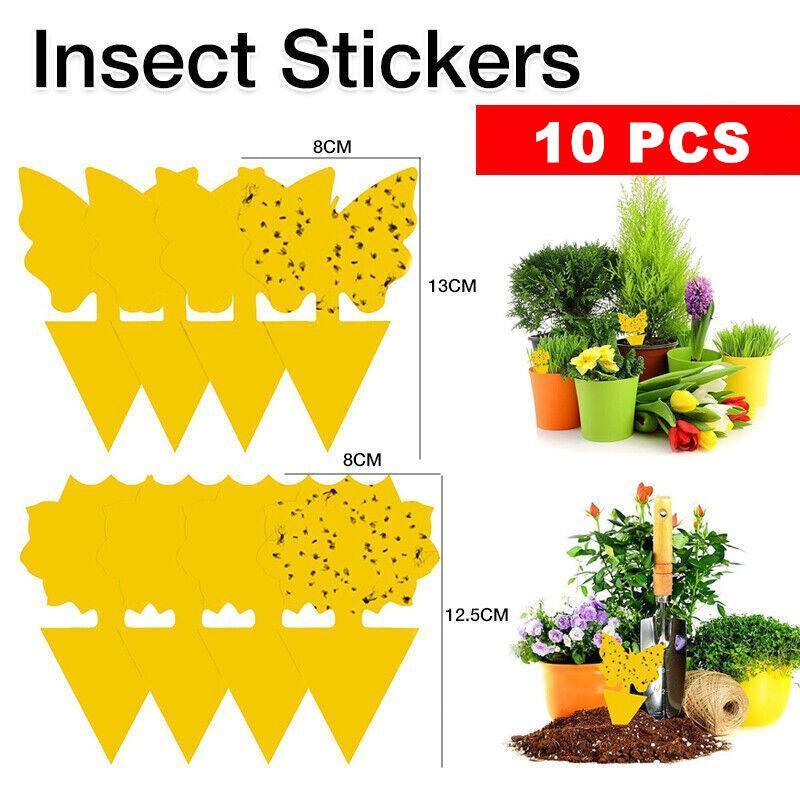 10X Dual Sided Sticky Trap Insect Killer Whitefly Thrip Fruit Fly Gnat - Butterfly 50PCS