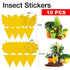 10X Dual Sided Sticky Trap Insect Killer Whitefly Thrip Fruit Fly Gnat - Butterfly 50PCS