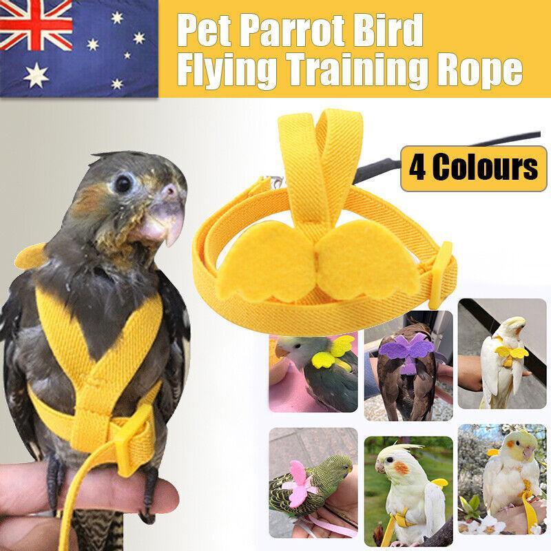 Parrot Bird Harness Leash Adjustable Flying Training Rope Cockatiel Conure Budgie - Pink