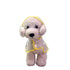 Puppy Waterproof Pet Dog Raincoat Jacket Clothes Vest Rain  Outdoor Coat Hoodies Yellow - M