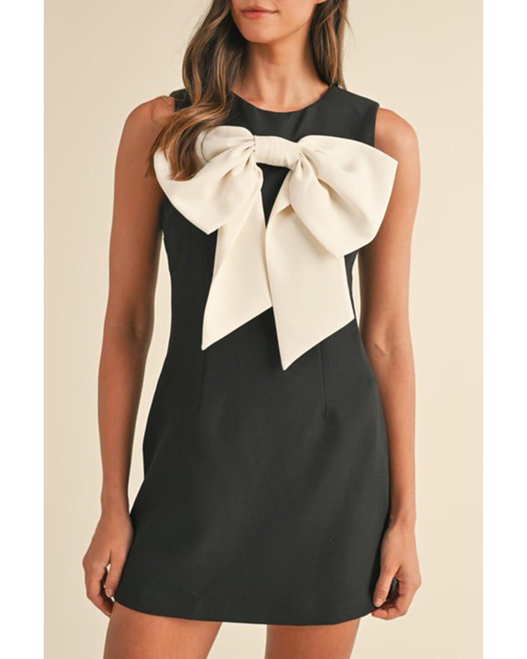 Black Contrast Bowknot Applique Crew Neck Sleeveless Mini Dress - L