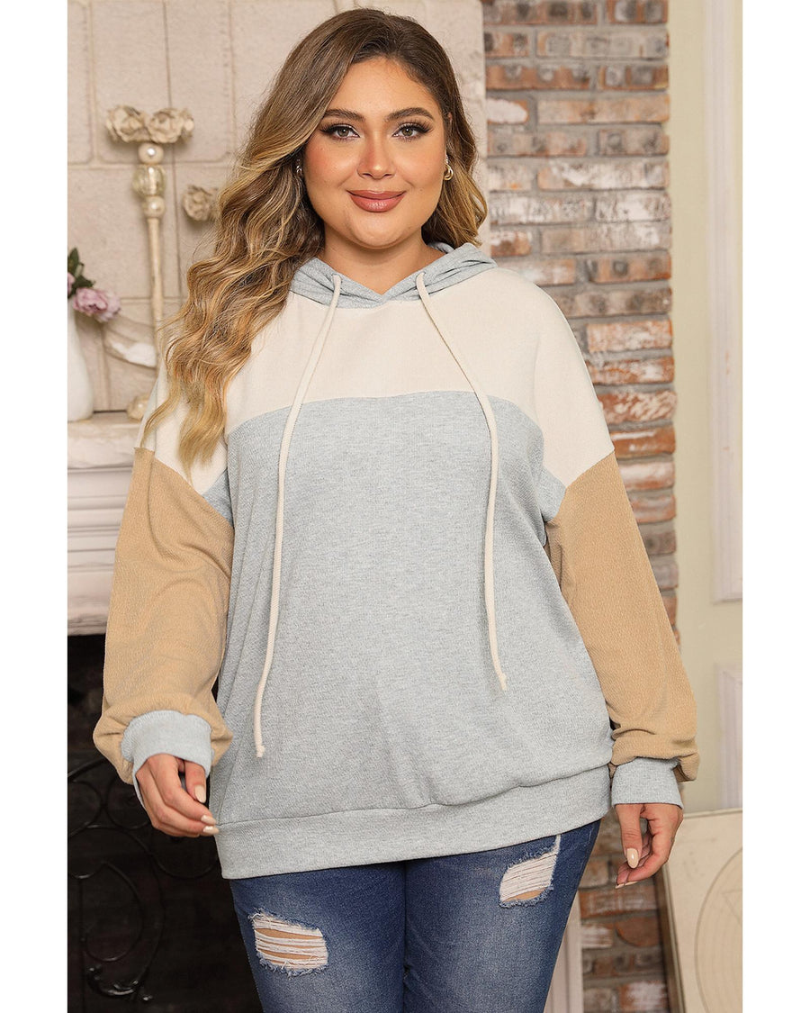 Multicolour Plus Size Colorblock Drop Shoulder Ribbed Knit Hoodie - 3X